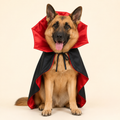 Dracula Pet Costume